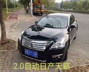 轎車租賃（20）